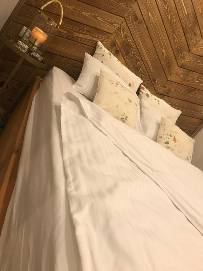 Apartamenty Ermitage Закопане Экстерьер фото